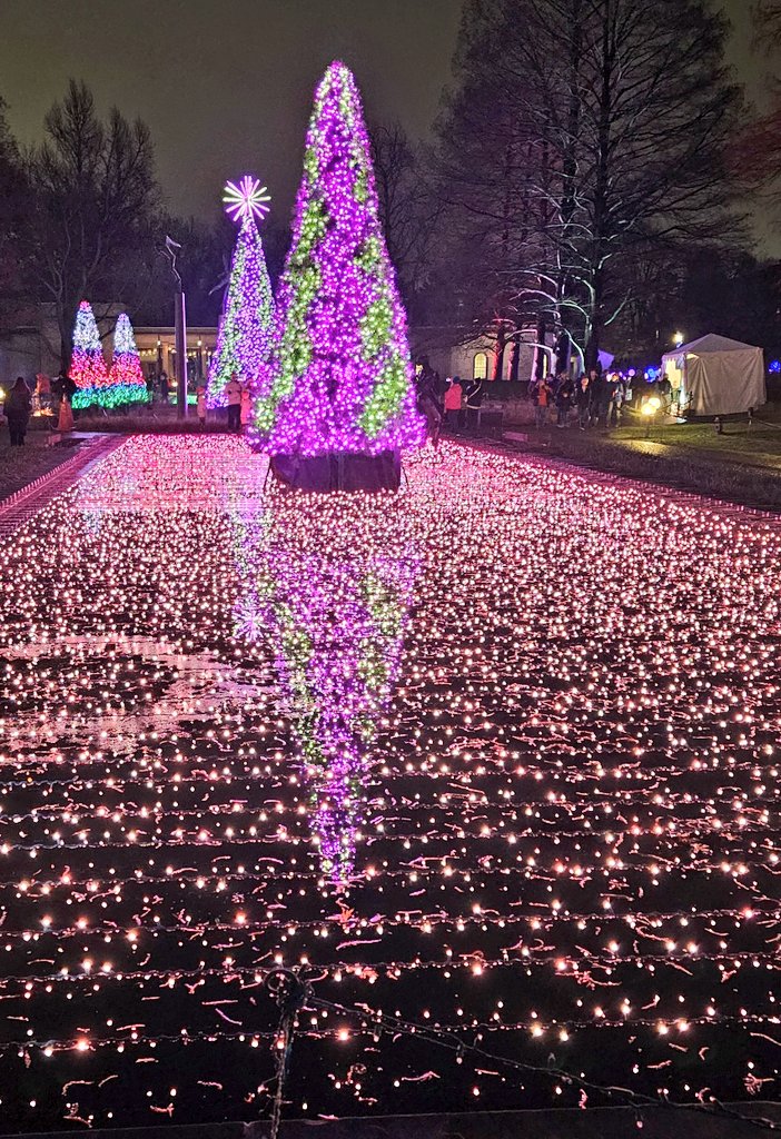 Sarshe330's tweet image. Tis the season for family, magic, and wonder. Merry Christmas to you and yours. 🎄 🎁