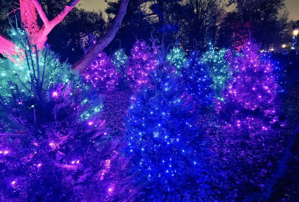 Sarshe330's tweet image. Tis the season for family, magic, and wonder. Merry Christmas to you and yours. 🎄 🎁