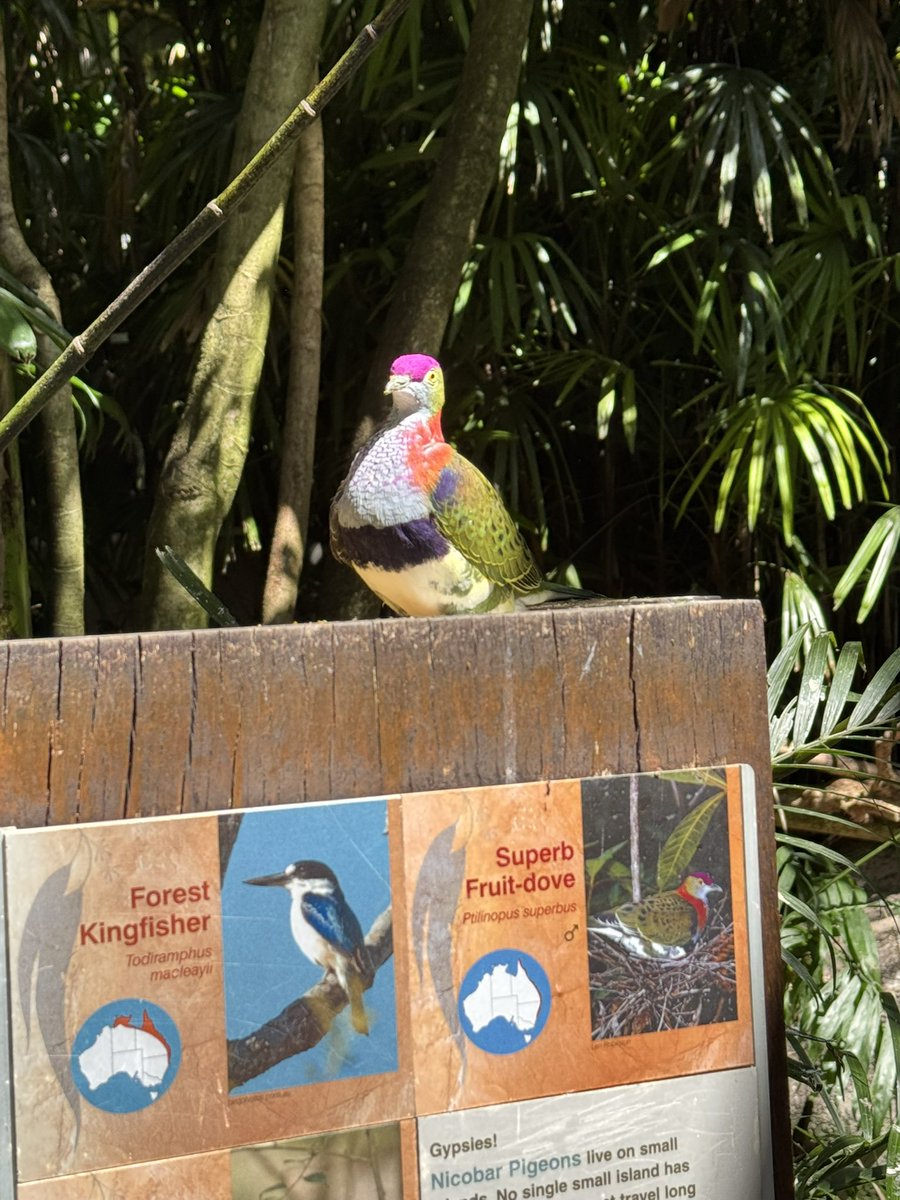 RoxyTall's tweet image. *crying* he doesn’t even know he’s superb… *sobs* he doesn’t even know