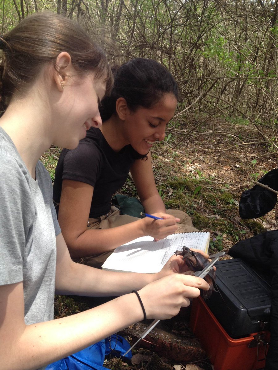 American Museum of Natural History (@amnh) on Twitter photo 🐢Former students Arden Feil & Karina Polanco were integral to this work while part of the Museum’s Science Research Mentoring Program (SRMP), where NYC high school students conduct a year of research with Museum scientists. Read more about their work: doi.org/10.1656/045.03… 🐢Former students Arden Feil & Karina Polanco were integral to this work while part of the Museum’s Science Research Mentoring Program (SRMP), where NYC high school students conduct a year of research with Museum scientists. Read more about their work: doi.org/10.1656/045.03…