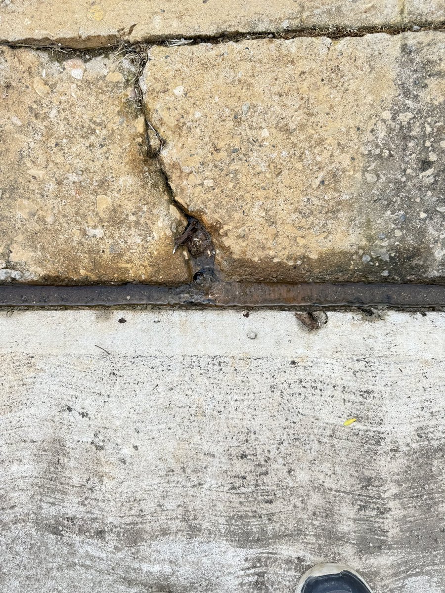 rugaldem's tweet photo. @SASCentroOfic fuga de agua de hace tres meses, circuito los árboles, bonanza, Villahermosa, Tabasco https://t.co/j9OZr7O8aY
