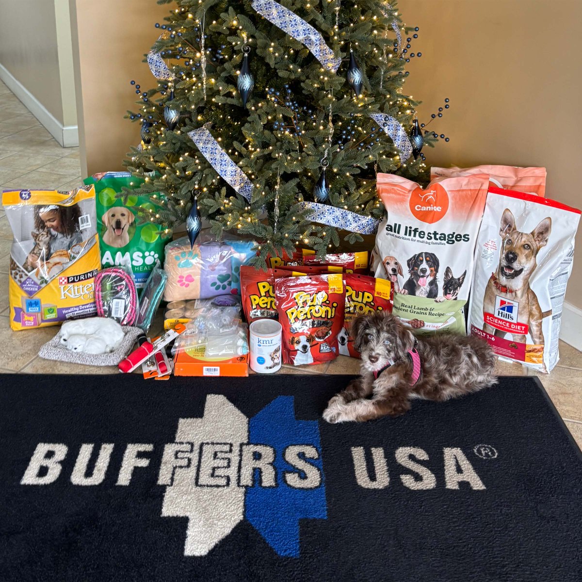 BuffersUSA's tweet photo. WOW, just look at all of these pet food items &amp; supplies! A HUGE thank you to everyone who gave to our recent donation effort supporting some PAWesome local animal friends in need this holiday season at @jaxhumane.♥️#BuffersUSA #GiftGiving #HappyHolidays https://t.co/XKMFSADOEg