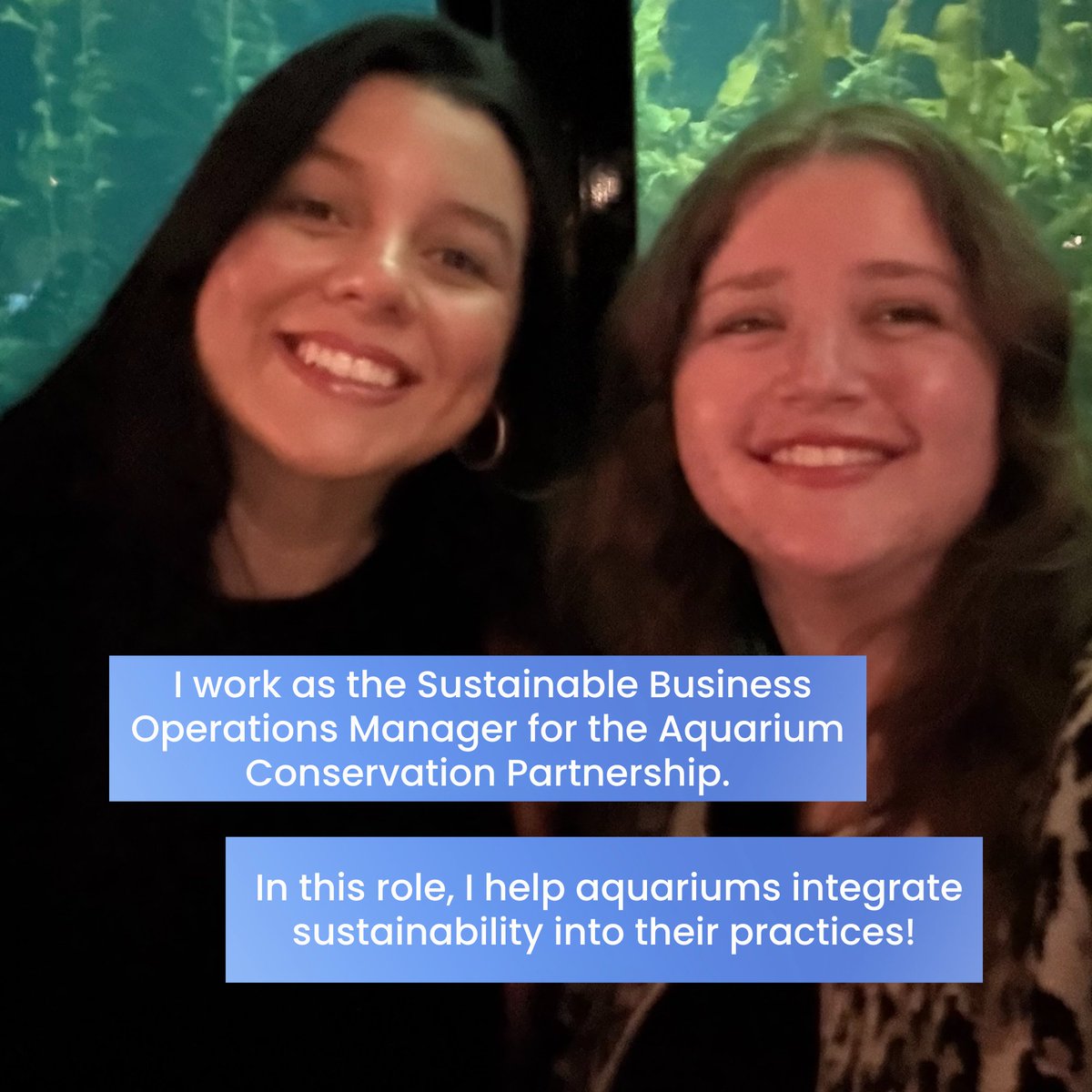 PaulWalkerFoundation tweet media