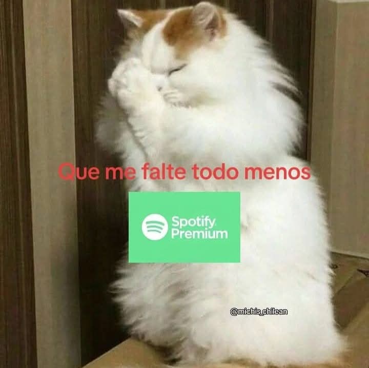 En Júpiter (@en_jupiter_) on Twitter photo 