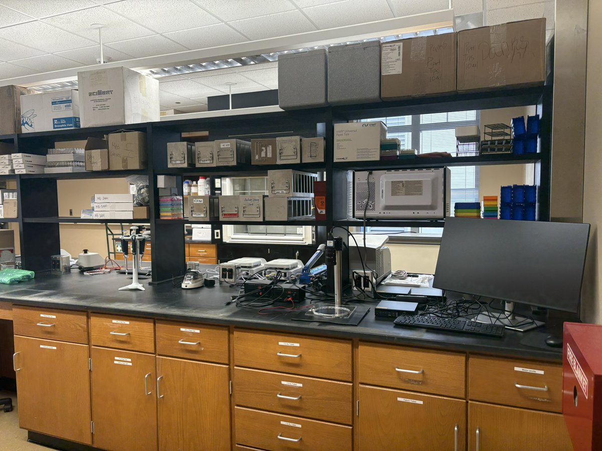 Amy Poe, PhD tweet media