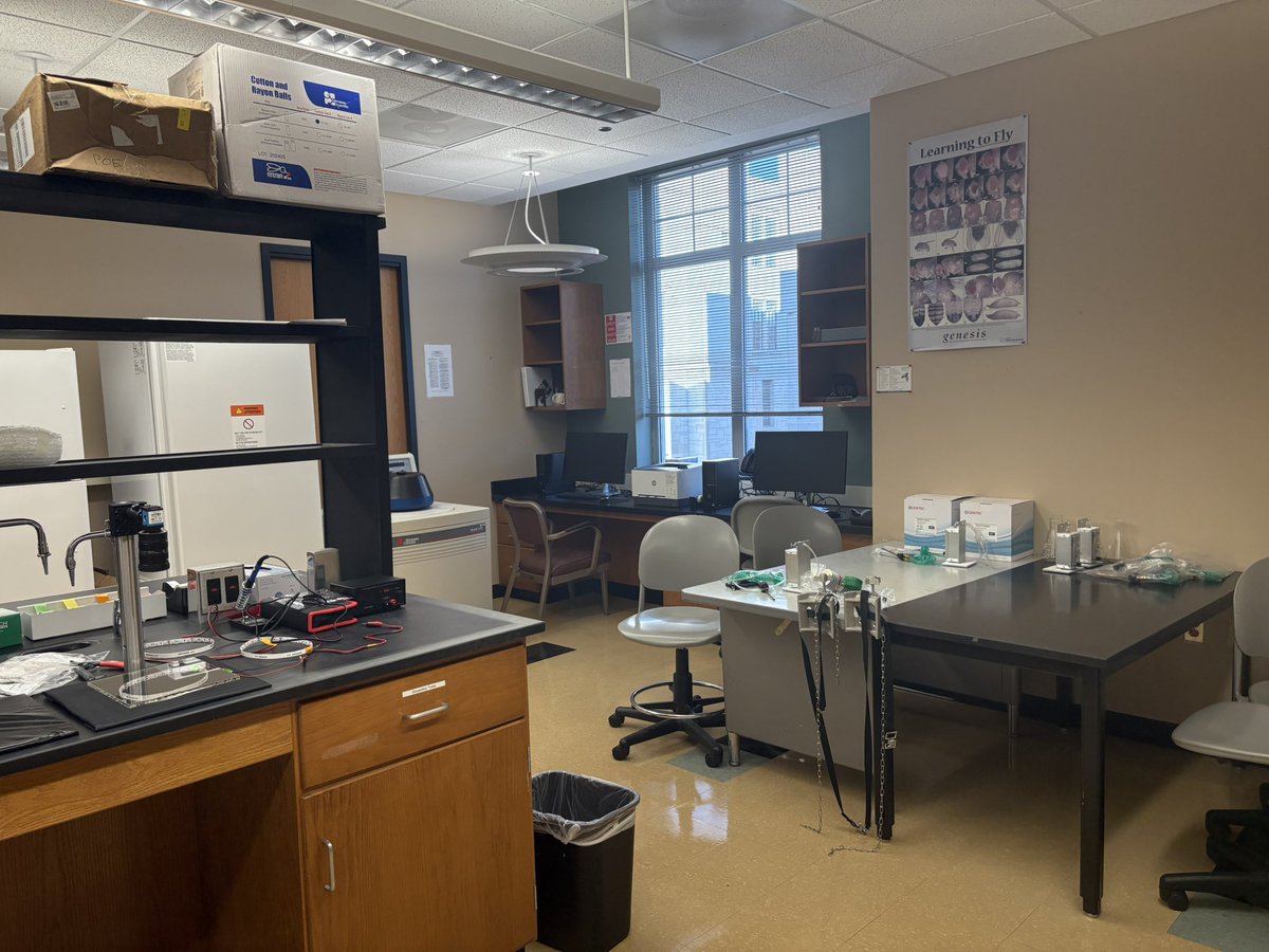 Amy Poe, PhD tweet media