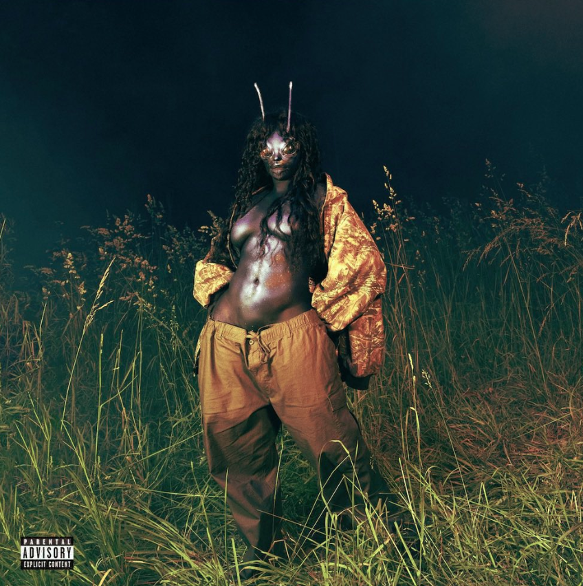 AboutMusicYT's tweet image. SZA has officially released Lana, what do you think?