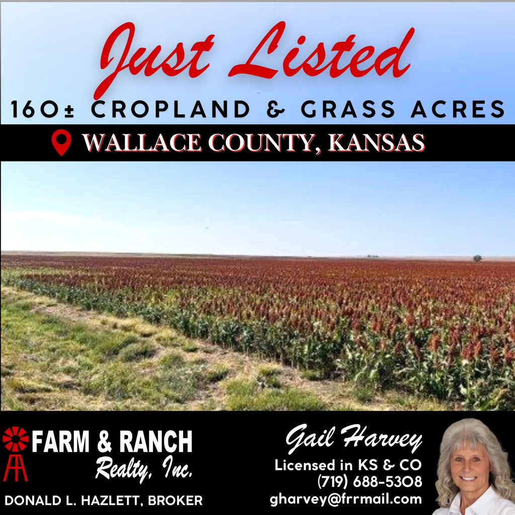 160± Acres of Cropland &amp; Grass For Sale in Wallace County, KS! 📍

Visit our website, frrmail.com/listings/bealm…, for property details, additional photos, and more information! 📸🌐

Gail Harvey, Listing Agent
📞 719-688-5308

#LandForSale #KansasRealEstate #FarmAndRanchRealty