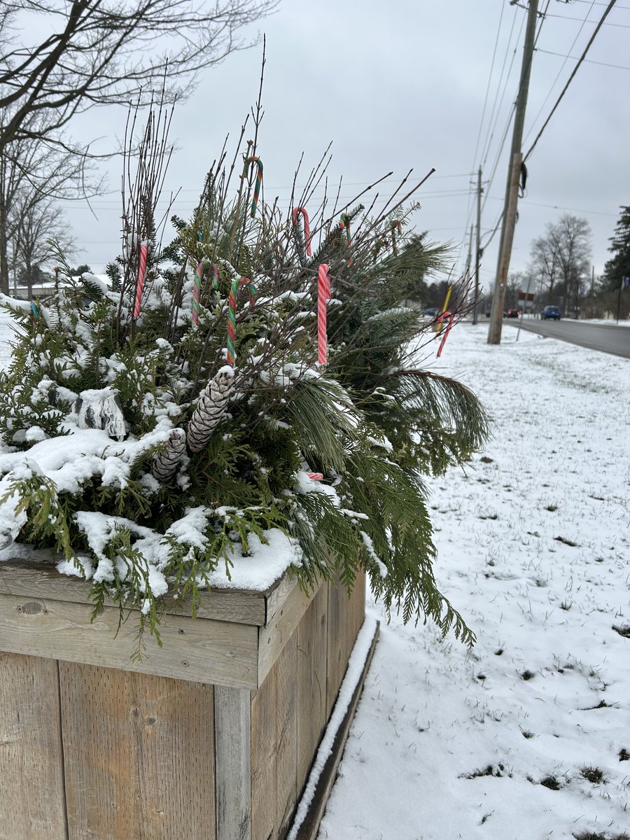 Six Nations Chief tweet media