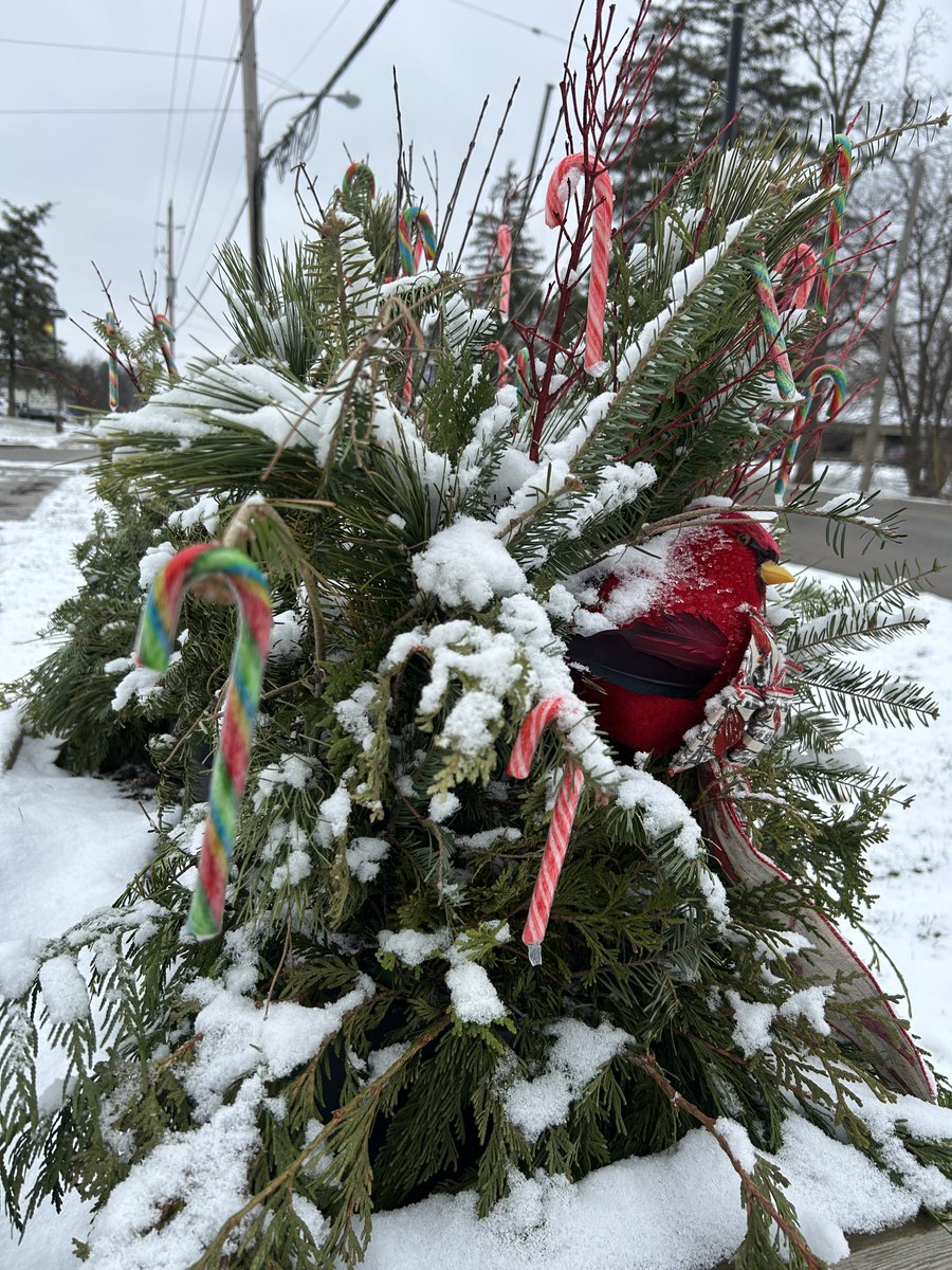 Six Nations Chief tweet media