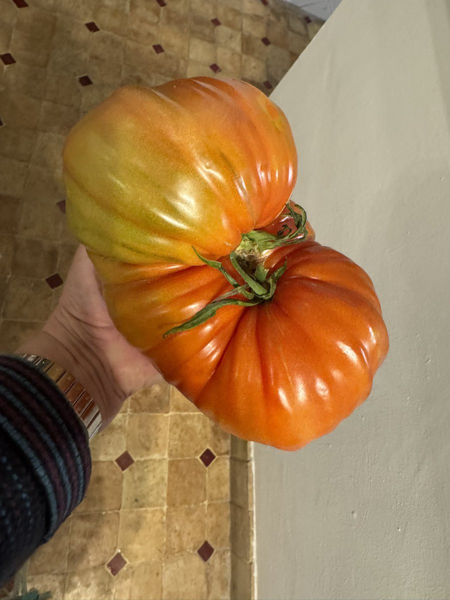 Annie B Spain tweet media