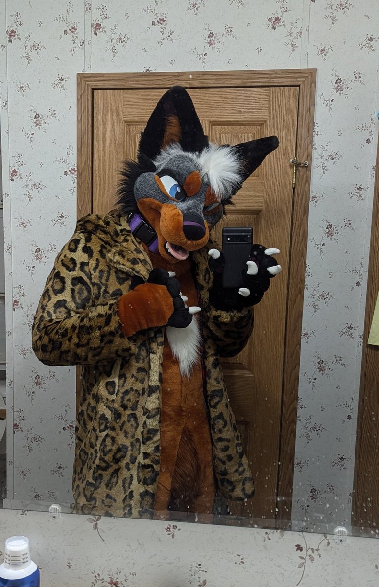You could say that the cat and I didn't get along.... But we do now 

#FursuitFriday

Suit by <a href="/gorehund/">Robo//yeen -- Sunshine Banjo Face</a> 
Coat is <a href="/spirithoods/">SpiritHoods</a>
