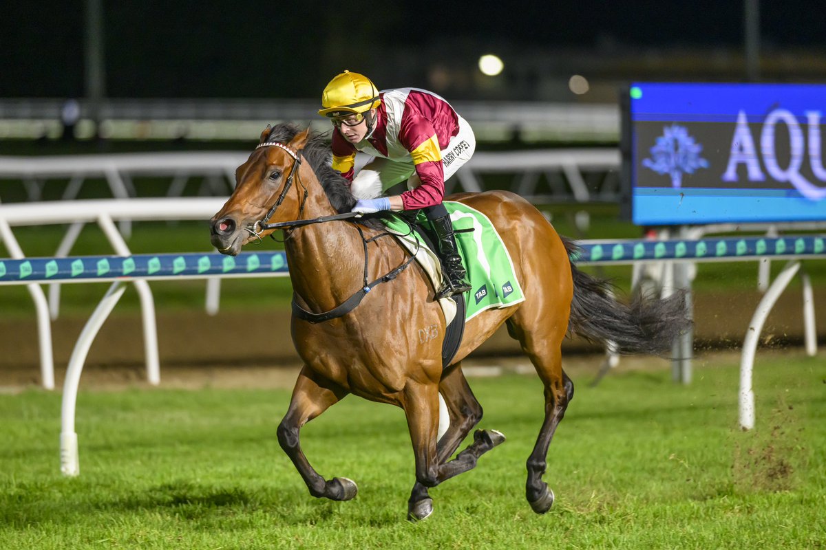 RaceQ tweet media