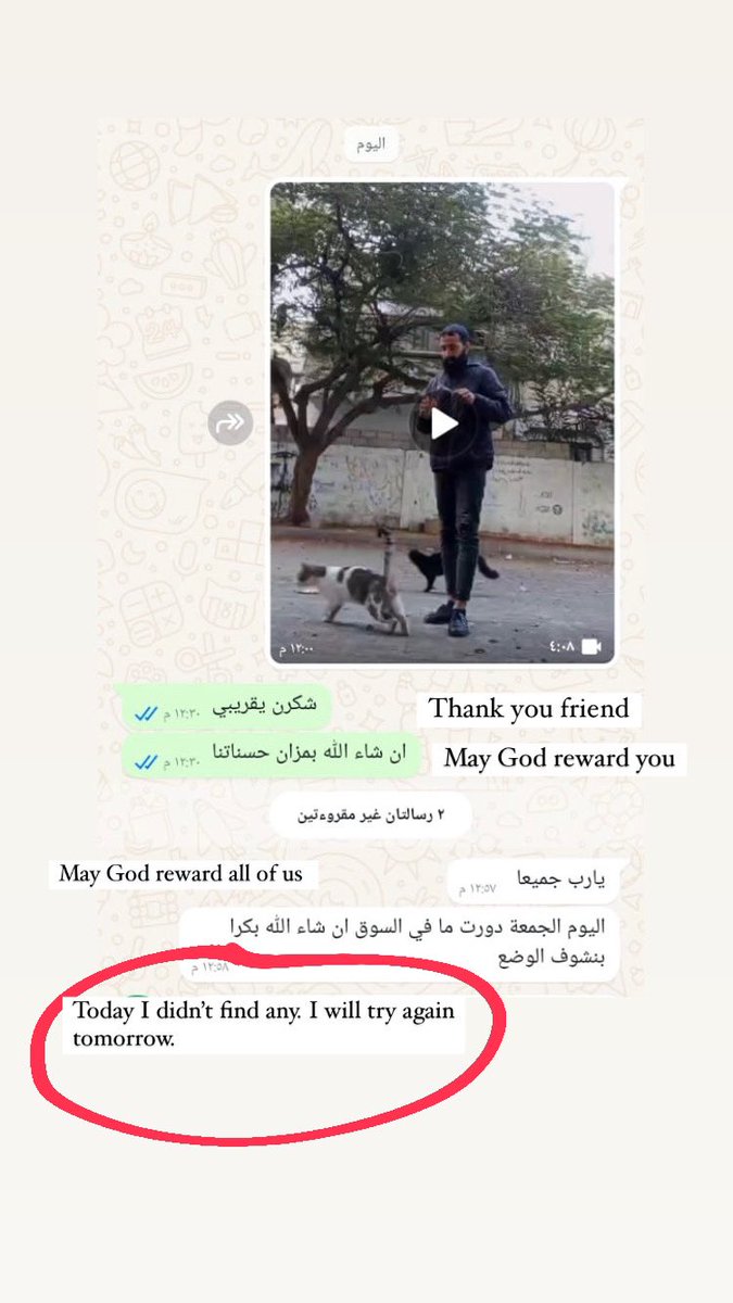 SulalaSociety's tweet photo. Since animal food is not coming in and now even the salty canned meat is not available anymore, our last hope is that individual people who can travel in and out of Gaza will put a bag of animal food in their travel bags! Please share so it reaches the aid workers. Thank you 🐾 https://t.co/yl9NHjIZGn