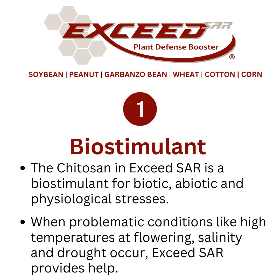 The active ingredient in Exceed SAR is Chitosan. When choosing a chitosan product, it is important to understand that not all chitosan is the same. Follow along to learn how the chitosan sourced for Exceed SAR outshines the competition. Visit hubs.li/Q030p5Cd0