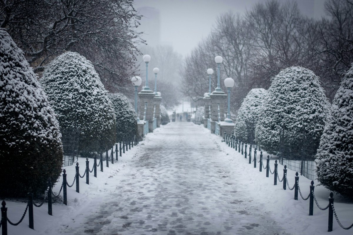 WorldBoston's tweet photo. Happy #BostonPhotoFriday from the Boston Public Garden!
Looking for more to do in Boston and Beyond? Check out our weekly newsletter WorldBoston Recommends: https://t.co/uaQ4iHTEeT https://t.co/yl6n3p7EwF