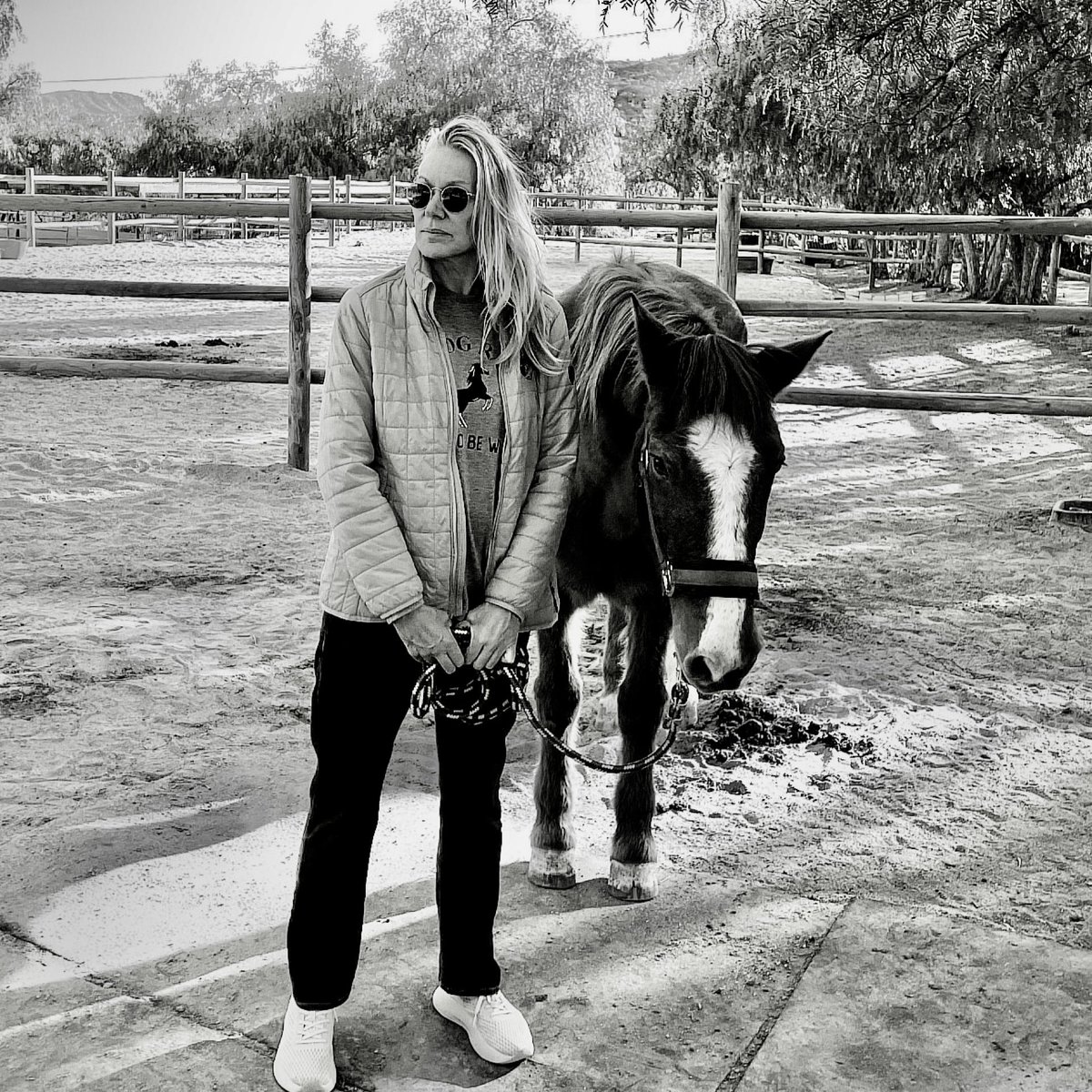 skydogsanctuary's tweet image. Chesney started his day early with #colic, so we started ours early with a visit from our wonderful #veterinarian. Say a little prayer for sweet Chesney, one of the sweetest #wildhorses at #SkydogSanctuary in #Malibu.