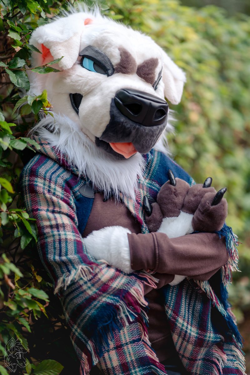 Guarding this timeline. Keep scrolling if you dare 😎
#FursuitFriday 

📷 <a href="/vlaaacek/">VlaceK</a> 
🪡 @LomonosovFur