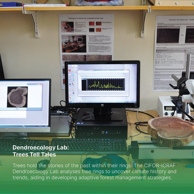 UN Biodiversity (@unbiodiversity) on Twitter photo Did you know that trees hold stories of the past within their rings?
The CIFOR-ICRAF Dendroecology Lab analyzes tree rings to uncover #climate history and trends, helping to develop adaptive #forest management strategies.
🔗 bit.ly/3wxLE2J
via <a href="/CIFOR_ICRAF/">CIFOR-ICRAF</a> Did you know that trees hold stories of the past within their rings?
The CIFOR-ICRAF Dendroecology Lab analyzes tree rings to uncover #climate history and trends, helping to develop adaptive #forest management strategies.
🔗 bit.ly/3wxLE2J
via <a href="/CIFOR_ICRAF/">CIFOR-ICRAF</a>