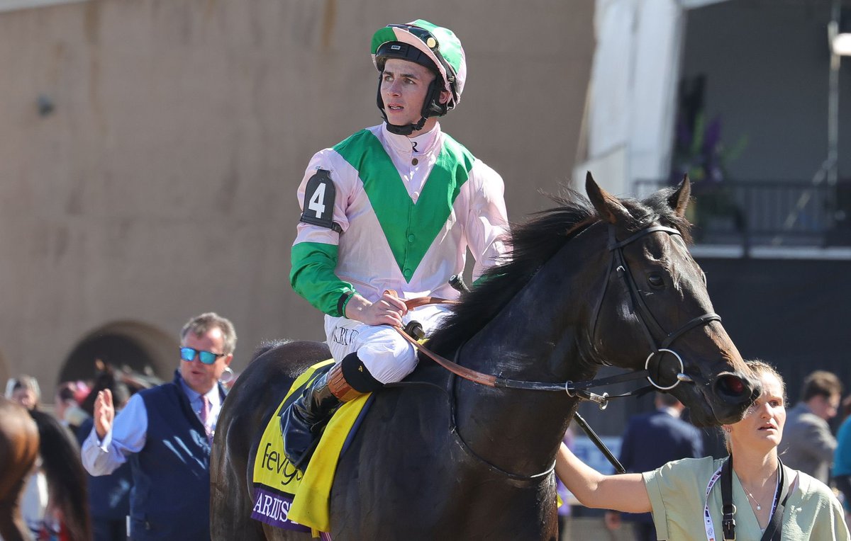 WHAT A YEAR! 2024 

2️⃣0️⃣0️⃣ winners 🇬🇧 🥇 
Breeders’ Cup 🥇 
Prix de l’Arc de Triomphe 🥇 
Saudi Turf Sprint 🥇 
10 Group races 🥇 

Work will beat talent when talent doesn’t  work! This lad has both in equal measure. Congratulations <a href="/Rossaryan15/">Rossa Ryan</a> on yet another exemplary year.