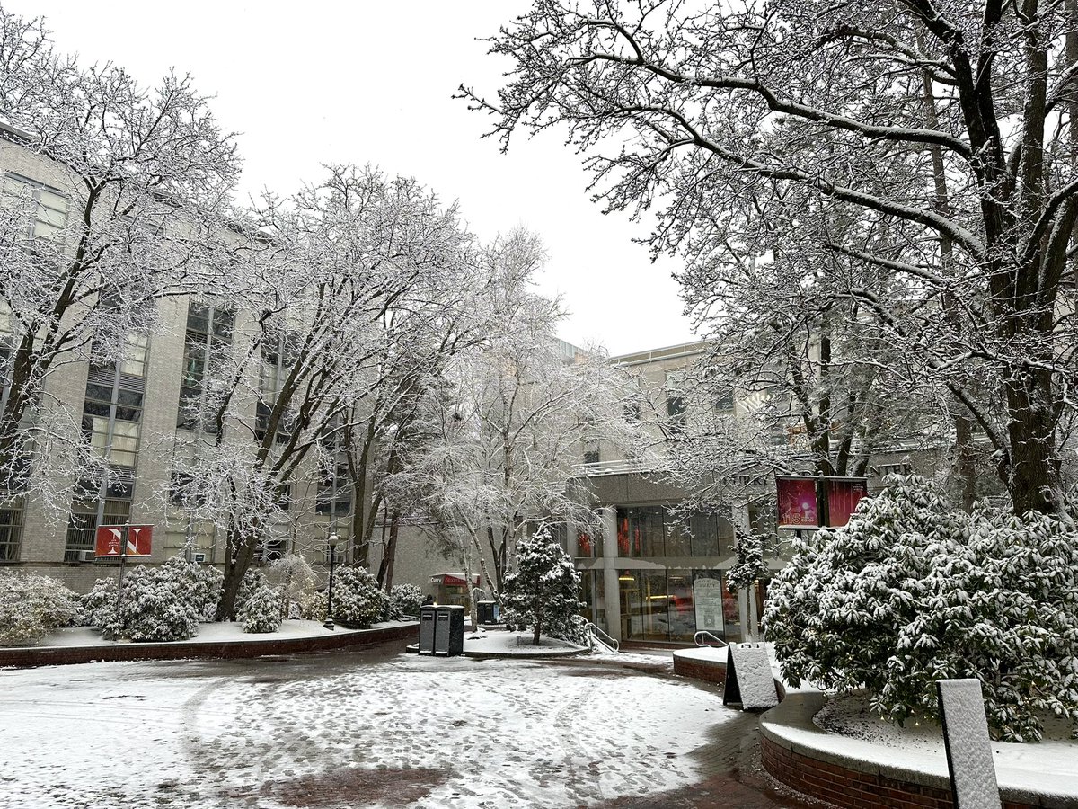 Ruobing Bai tweet media