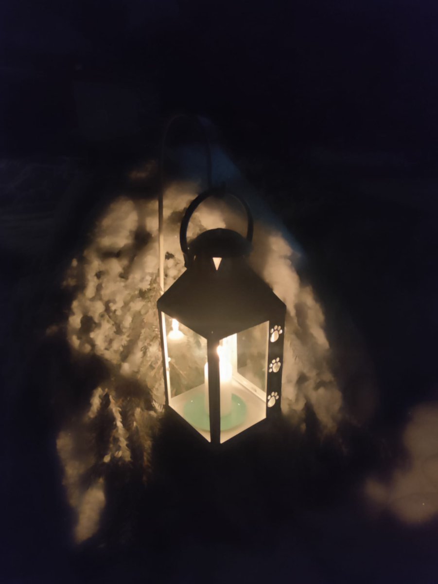 Maapallon jättimäinen mittanauha toivottaa
Hyvää Joulua ja 
Onnellista Uutta Vuotta 2025!

Ensi vuosi onkin juhlavuosi -20 vuotta siitä, kun Struven ketju nimettiin <a href="/UNESCO/">UNESCO 🏛️ #Education #Sciences #Culture 🇺🇳</a>'n teknis-tieteelliseksi
maailmanperintökohteeksi.

#kolmiomittaus