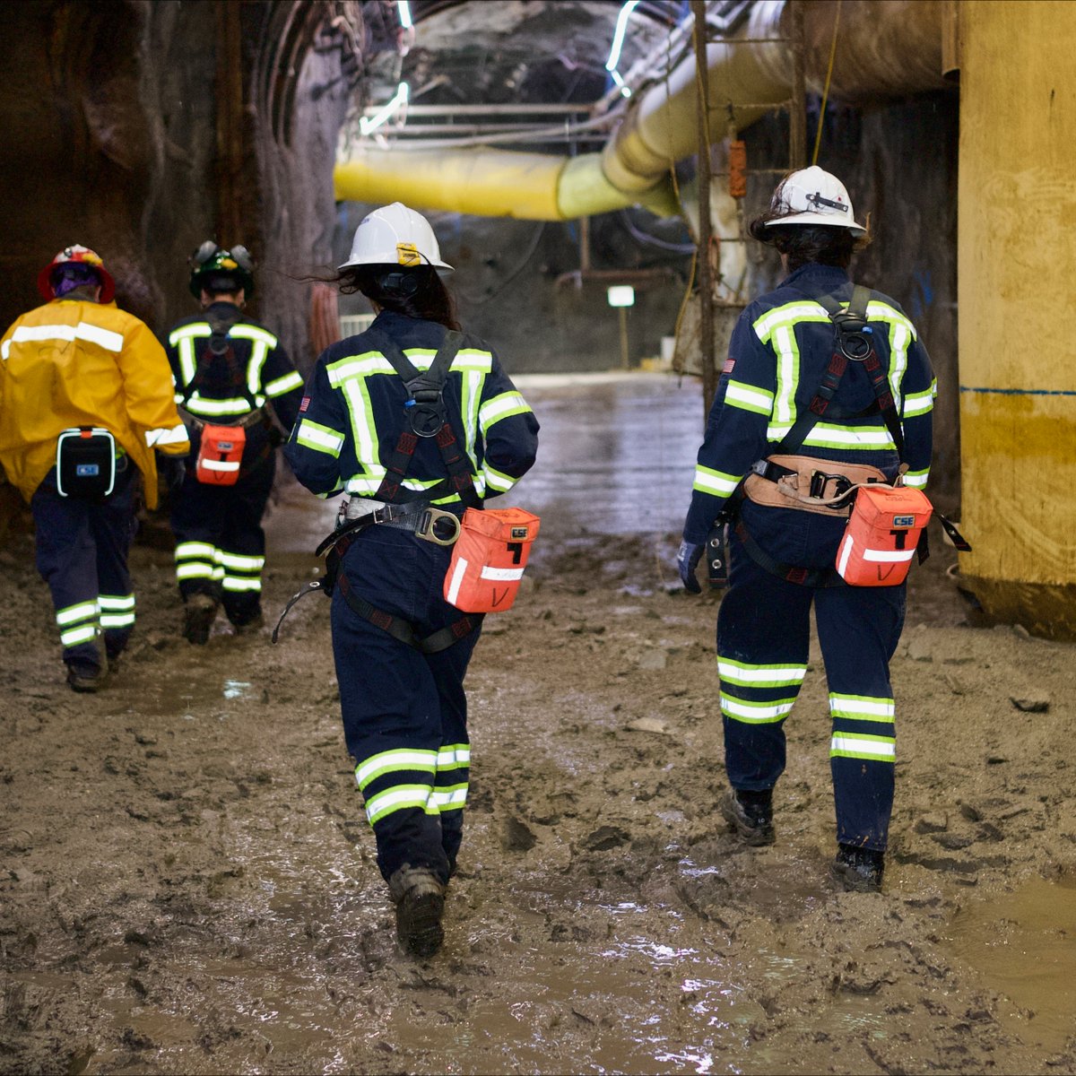 resolutioncu's tweet photo. ๐ต On the eighth day of mining, Resolution Copper gave to meโฆ eight boots a-stomping! Whether trekking through mud or navigating the depths of the mine, these boots carry the hardworking spirit of our team every step of the way. ๐ขโจ #12DaysOfMining #MiningStrong https://t.co/oSmf9MQkDc
