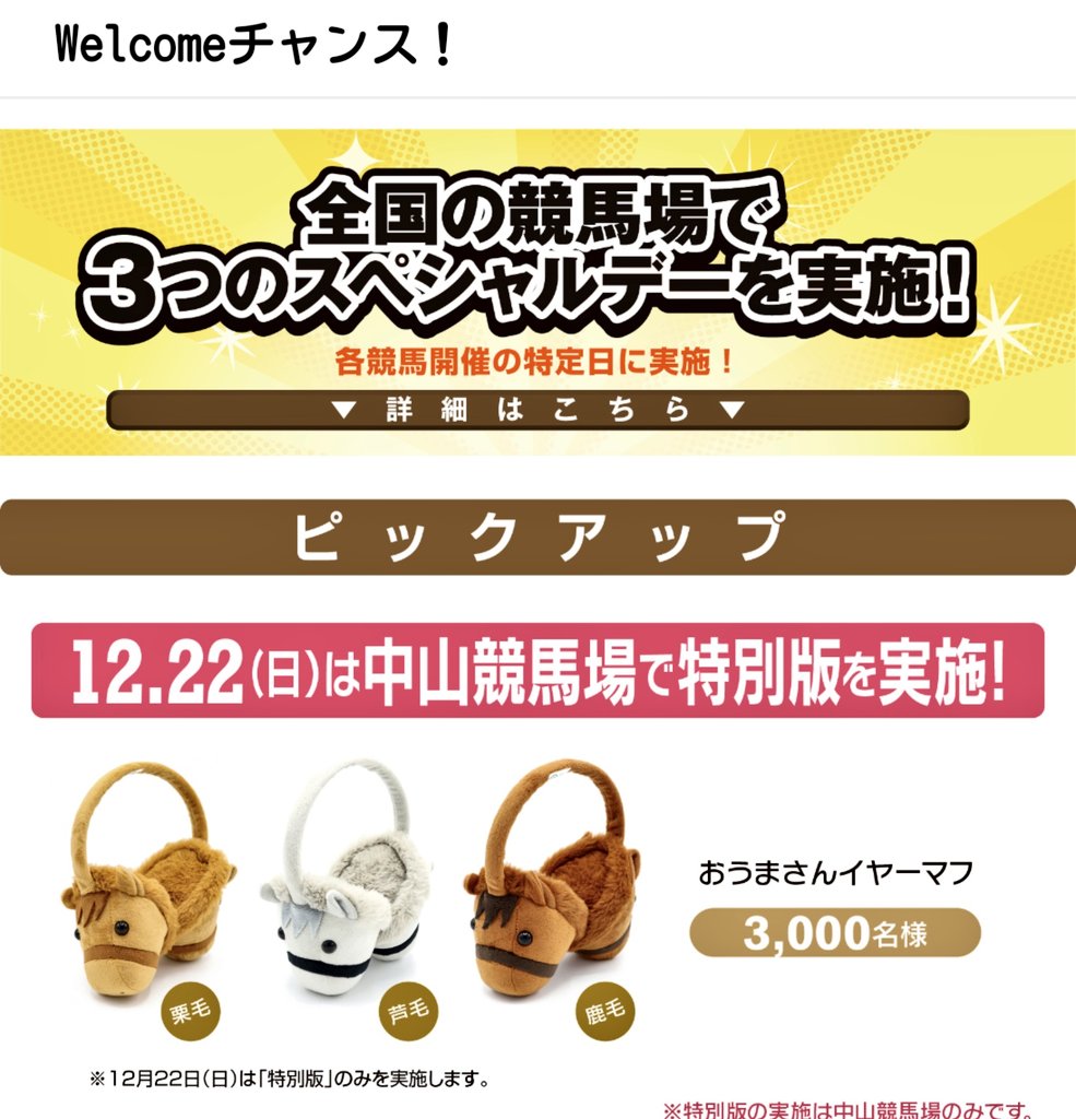 JRA 中山競馬場 有馬記念 ウェルカムチャンス おうまさんイヤーマフ