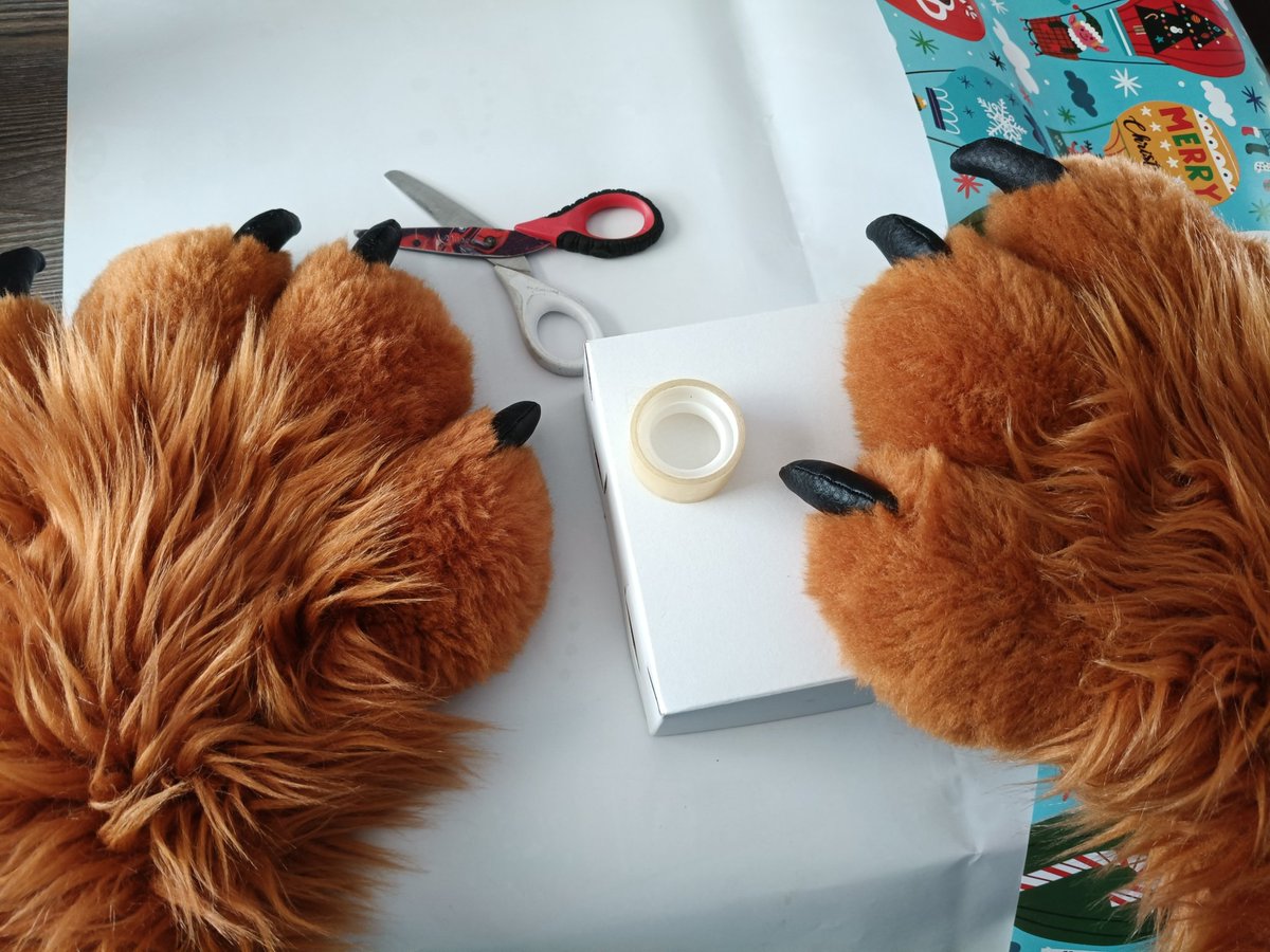 mapapacho's tweet image. This is not gonna Work, but I'll try. #christmaswrap #furry #mapache #envolverregalo #furrywrapping #navidad also BlueSky