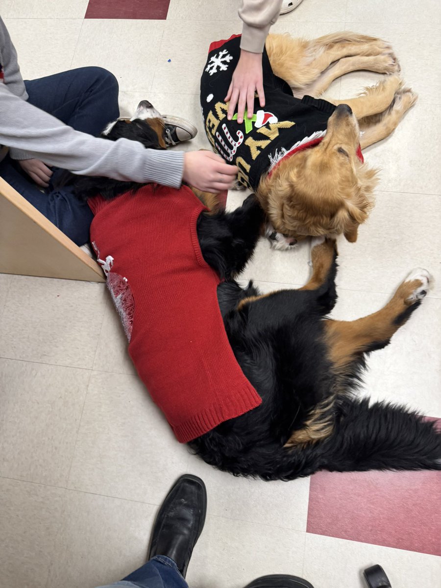 Bunsen, Beaker, Bernoulli & Brix tweet media