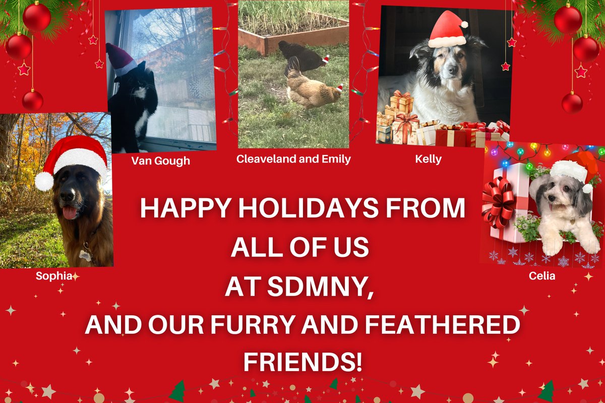 SDMNY (@sdm_ny) on Twitter photo 