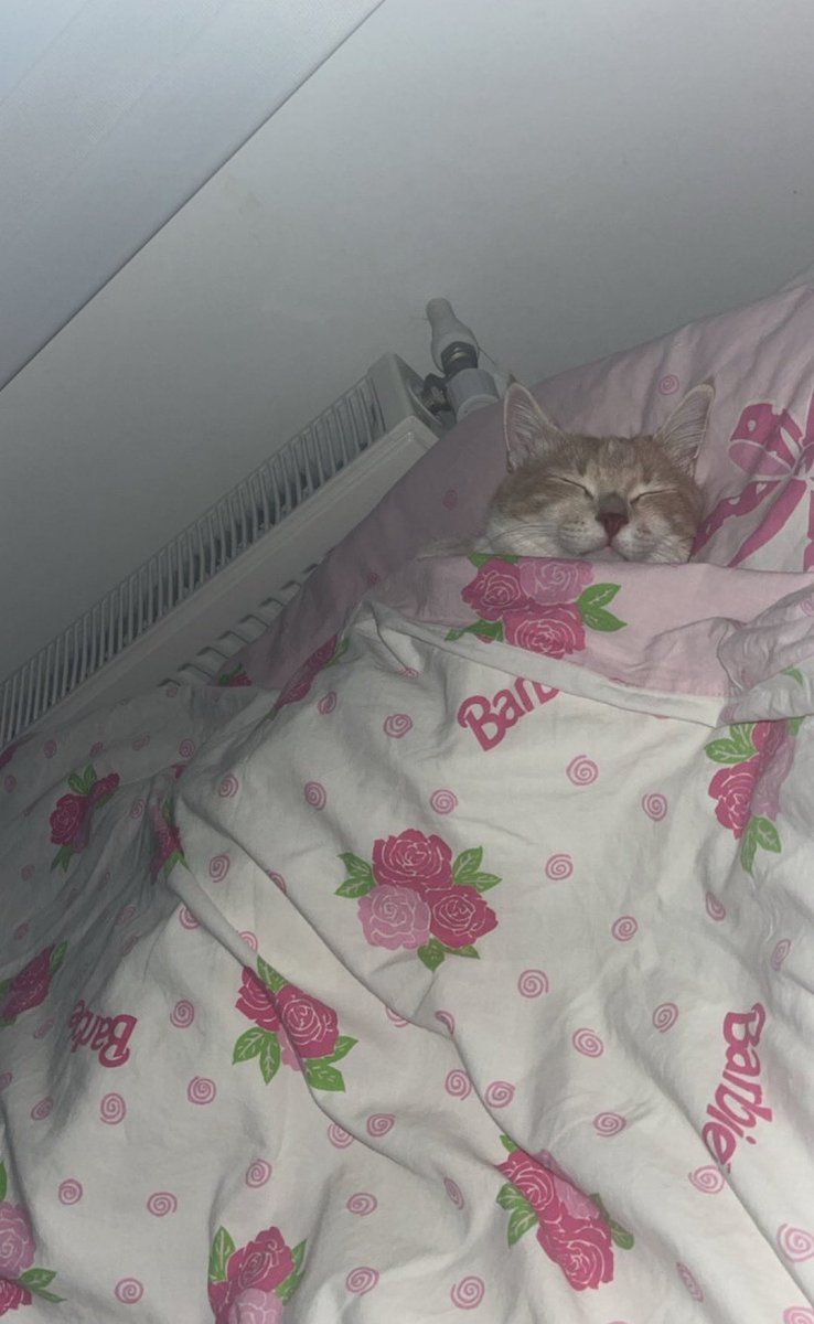 ayetel kursi, felak, nas okuduktan sonra bizim uyku kalitesi