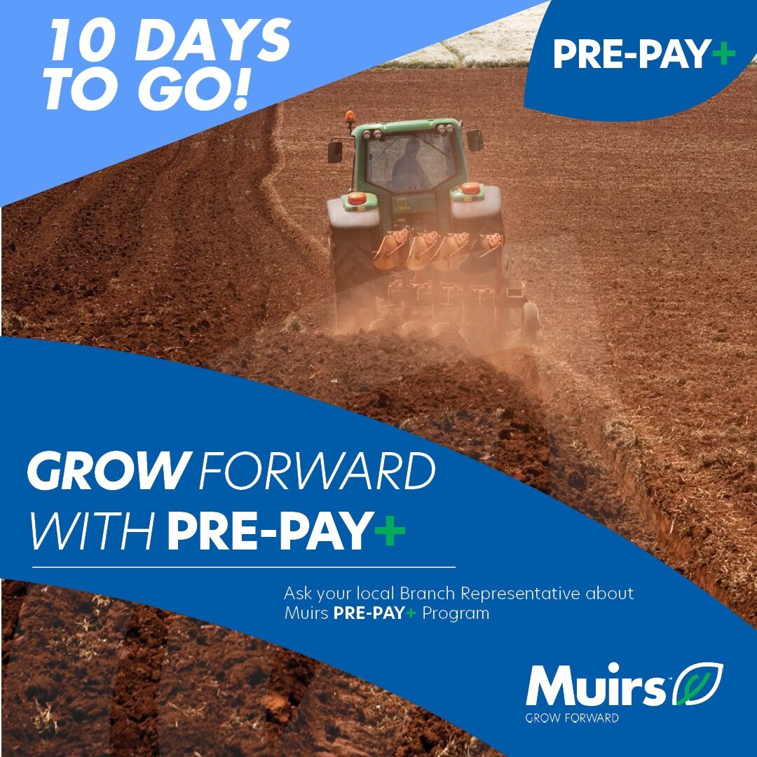 Muirs.Tas tweet media