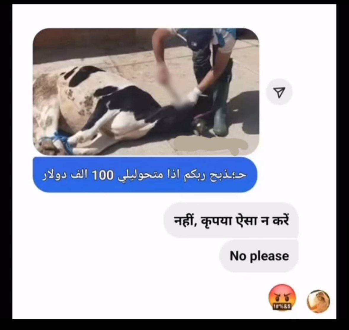 مشروعي الجديد