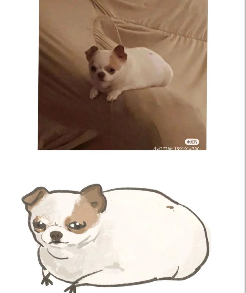 twaniimals's tweet photo. https://t.co/1utHcsCDVq