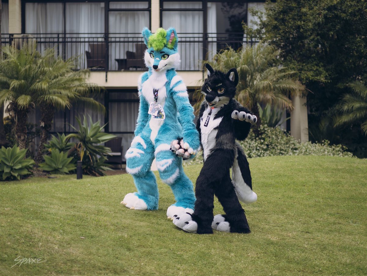 Here's the pics of me and <a href="/zet_soku/">Zet</a> at #furconz Hotel!

Thanks dude, it was awesome to meet you!

📸: @/spaxe
🐶🪡: <a href="/mixedcandy/">Mixedcandy Inc</a>
🦊🪡: @selena_tiger

#furry #fursuit #FursuitFriday