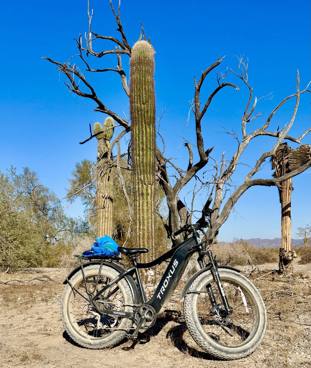 garybizzo's tweet photo. #TROXUS eBIKE- an unbelievable 750w, 4โrock climbing tires ebike for the worst conditions! On location in #Quartzsite, Arizona https://t.co/91fQK3HDDc