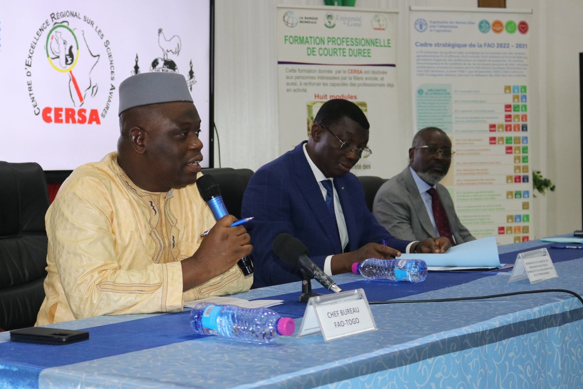 FAOauTogo's tweet photo. Avec l'appui de @FAOauTogo et du #PandemicFund, le #CERSA a formé 200 acteurs clés de la filière avicole au #Togo sur les bonnes pratiques de biosécurité.
🔵Objectifs: réduire les risques sanitaires, accroître la productivité et renforcer la compétitivité du secteur🐓. #SDGs
1/2 https://t.co/BSG99W2xJN