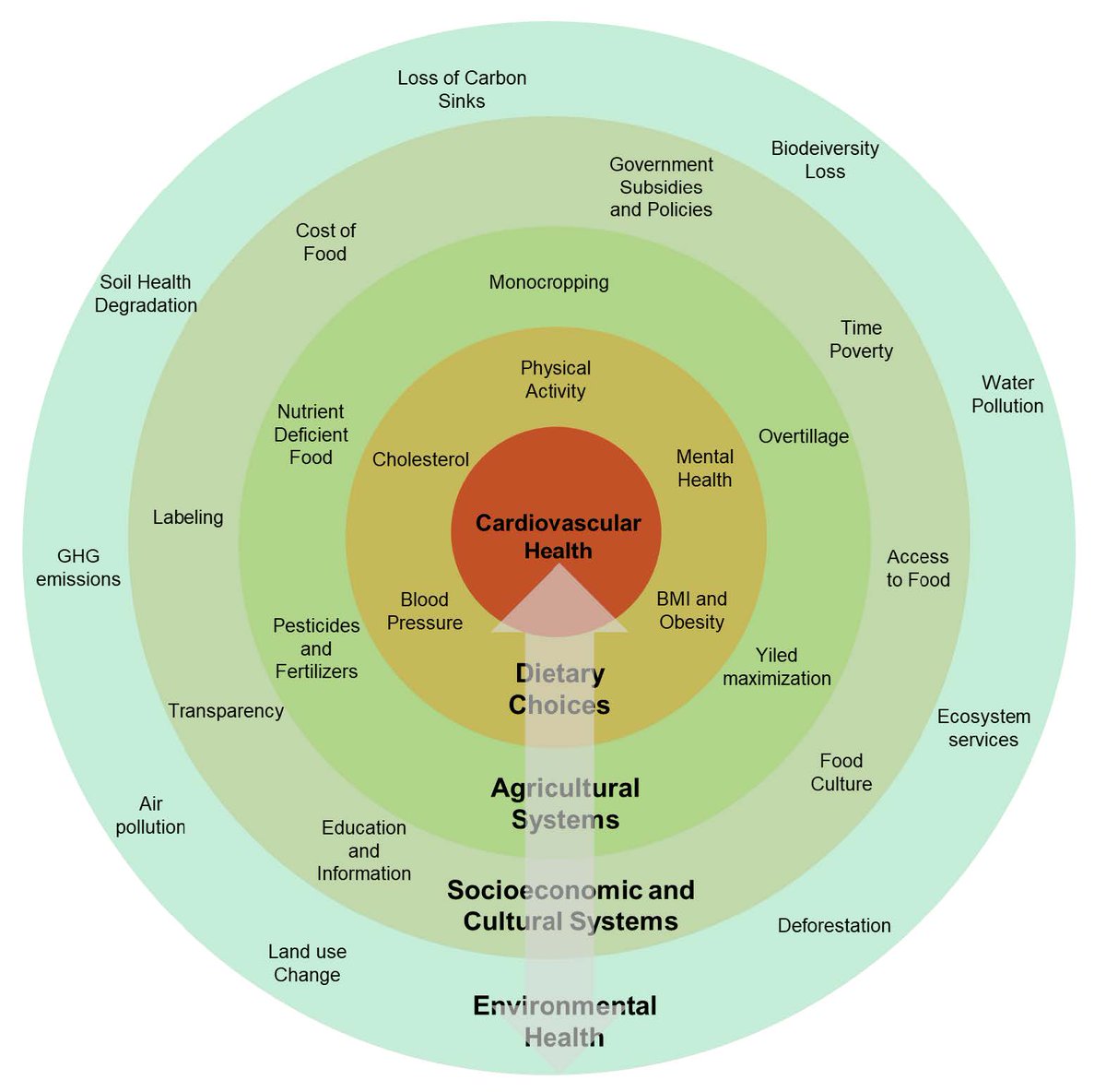 Healthy diet is among the most impactful strategies for CV health &amp; proven to lower the risk of CV disease.

Food for Thought: Nourishing Cardiovascular Health Amidst the Exposome by <a href="/BasselTDaher/">Bassel Daher</a>

#DeBakeyCVJournal <a href="/maquinonesmd/">M Quinones MD, MACC</a> <a href="/HMethodistCV/">Houston Methodist CV</a> <a href="/CardioNerds/">CardioNerds</a>
doi.org/10.14797/mdcvj…