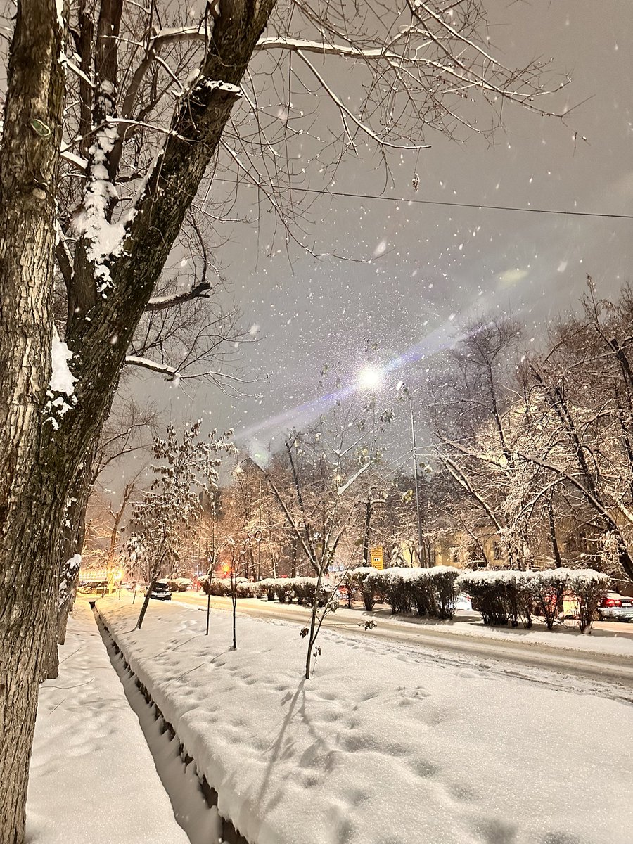 boyzhetken's tweet photo. Алматы https://t.co/uu3ivlth1g