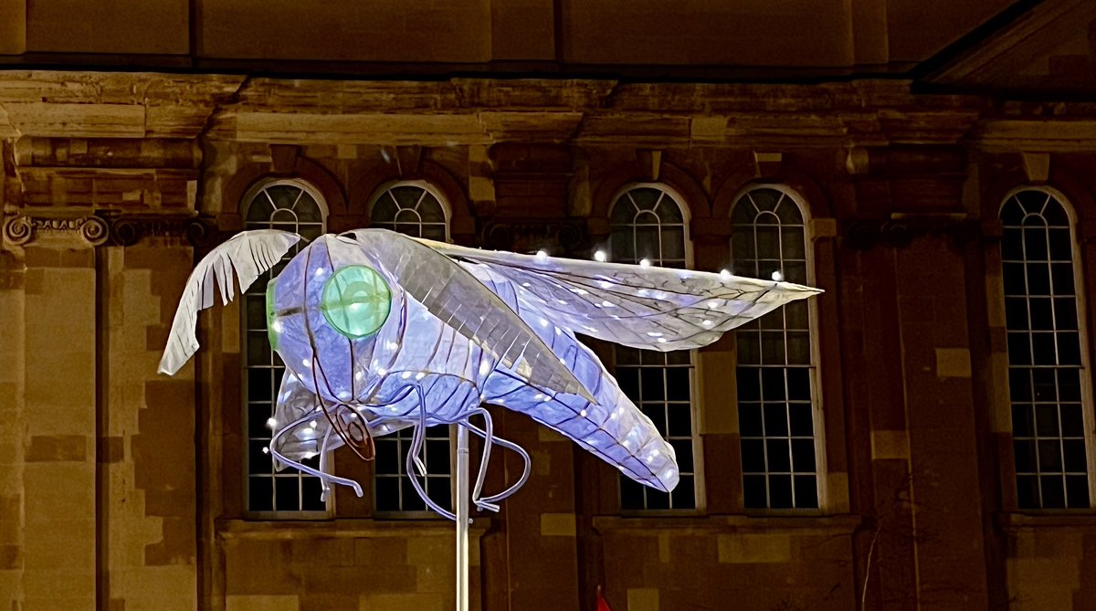 It was the (rescheduled thanks to #stormdarragh) Monmouth Christmas Lantern Parade tonight.  We thought we would build a moth (of sorts). Agincourt Square. Shire Hall.