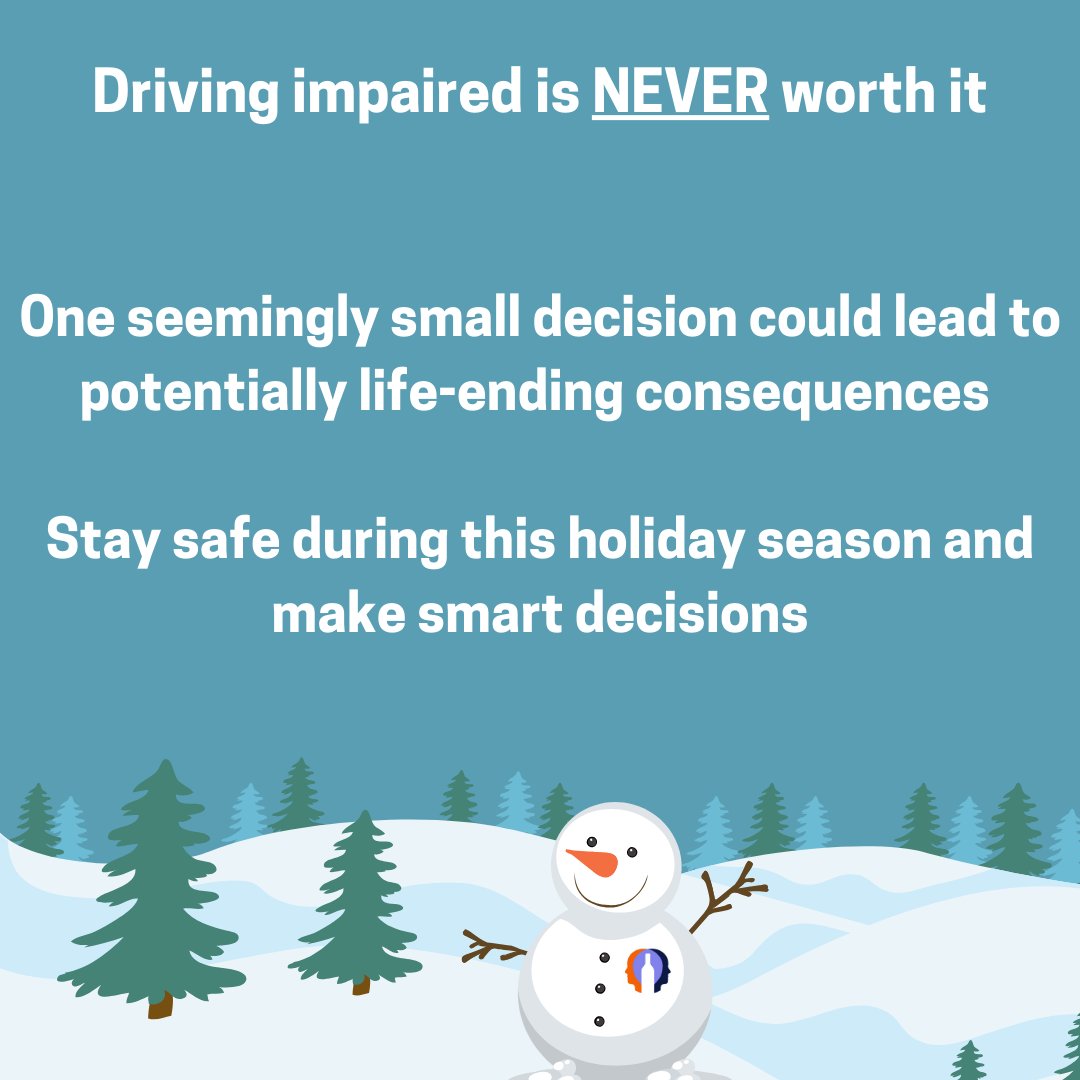 UiucLab's tweet photo. Staying safe this holiday season 🚘🍷- Part 2 https://t.co/C0nw5eZSxQ