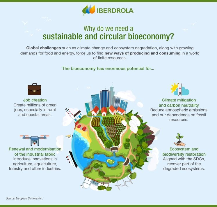 UNBiodiversity's tweet photo. The bioeconomy supports sustainability and circularity through reuse, repair, and recycling.

This reduces waste, saves energy, and protects the #environment, #climate, and #biodiversity. 🌿

Learn why a circular bioeconomy is essential. 

via @iberdrola https://t.co/ctbh1OpcjF