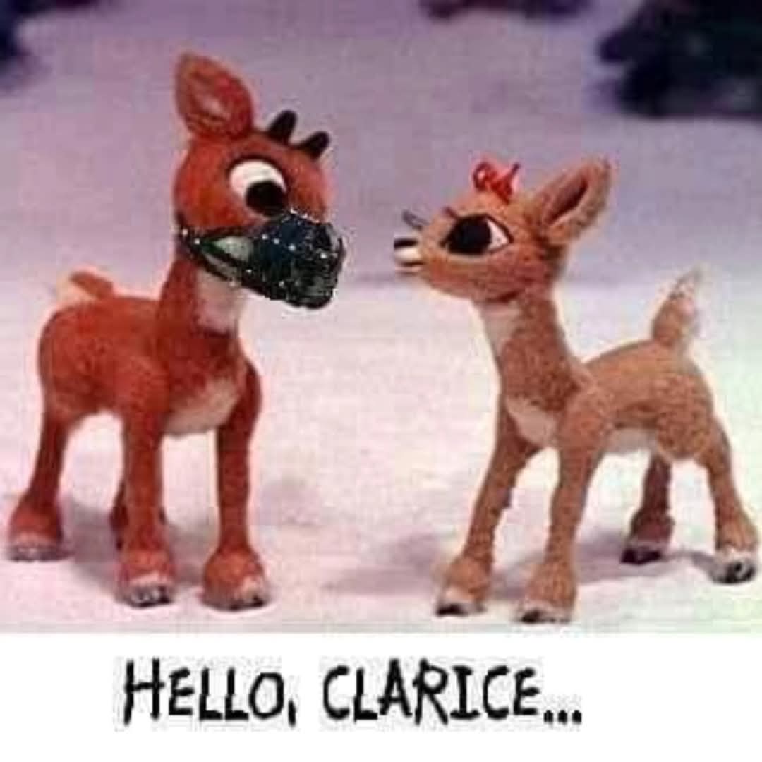 Grin & Tonic tweet media