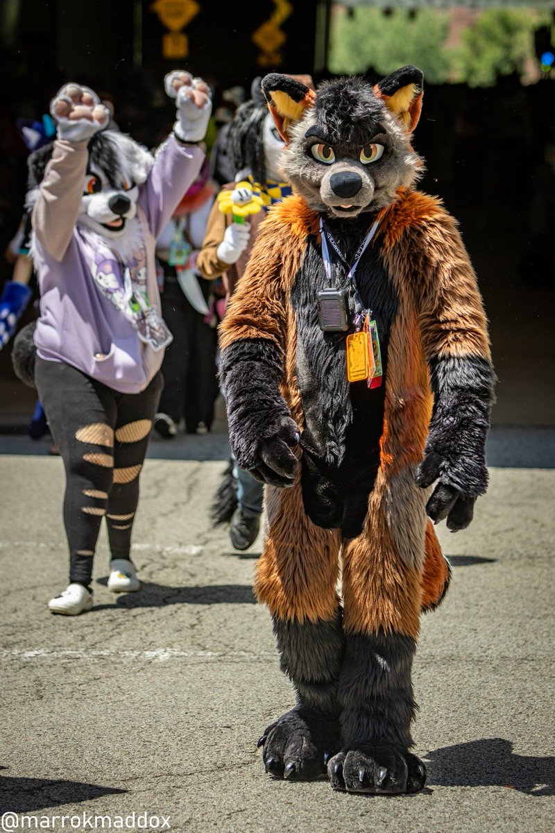 Tyler_TheFox's tweet photo. Come walk with me through Pittsburgh
#AC #AC24 #Anthrocon2024 #Anthrocon24 #Anthrocon #FursuitFriday
π·@marrokmaddox https://t.co/tpuV5m0WK2