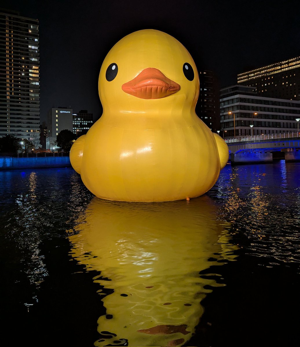 スティーブさんに捧ぐ🐥🐥🐥

#中之島ウエスト冬ものがたり2024 
#柴犬スティーブch 
#大賀智章
#柴犬スティーブ