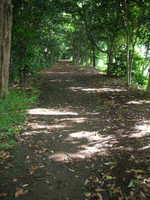 honky_tonk's tweet image. The guide exists in a human&apos;s Life.
Receive its energy language.

人生には導き手が存在します。
そのエネルギー言語を受け取られてください。
#guide #ガイド