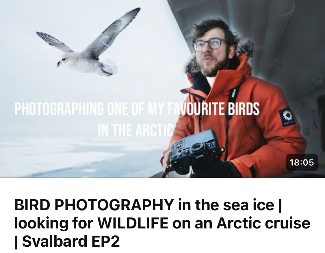New video online! 
BIRD PHOTOGRAPHY in the sea ice | looking for WILDLIFE on an Arctic cruise | Svalbard EP2
youtu.be/bkYrLmo3wVQ