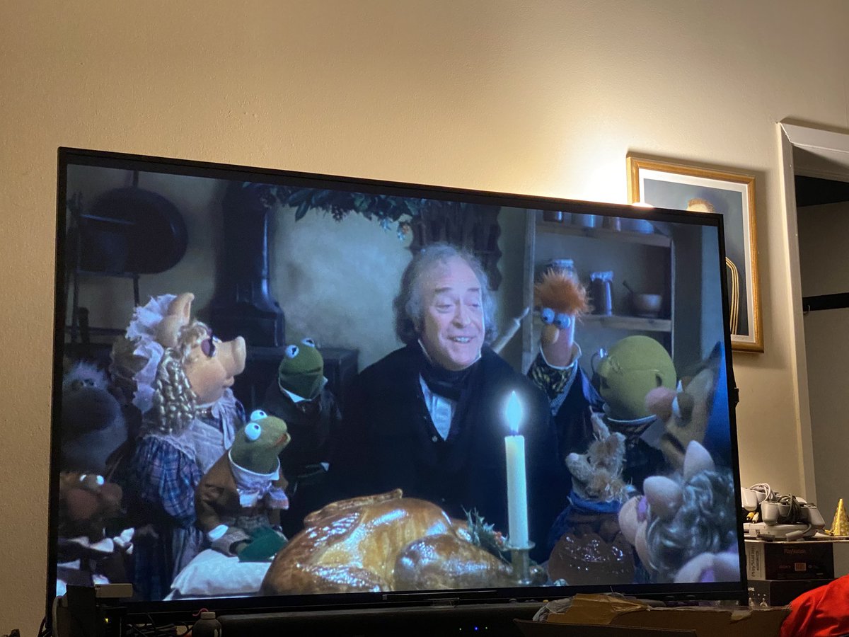 Sean 🌴 tweet media