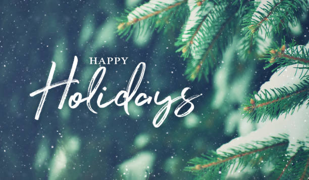 MelvilleSchool's tweet photo. Have a wonderful winter break with your families! https://t.co/yhpa9p7K02